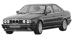 BMW E34 P113D Fault Code